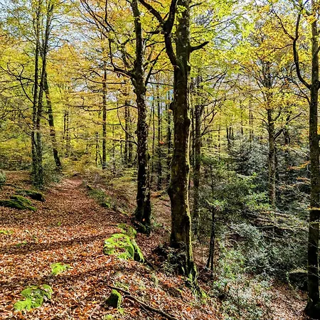 Сasa de vacaciones Des Myrtilles Le Soulié